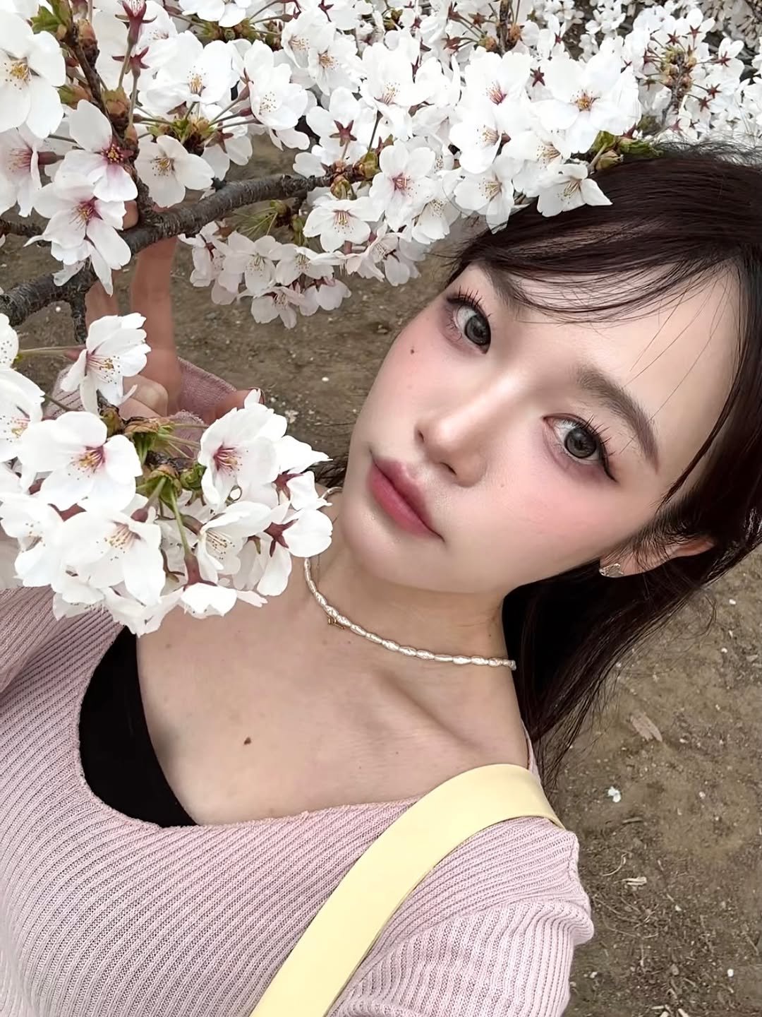 Photo by ひna 히나 on April 08, 2026. May be an image of flower, stone-fruit tree and text.