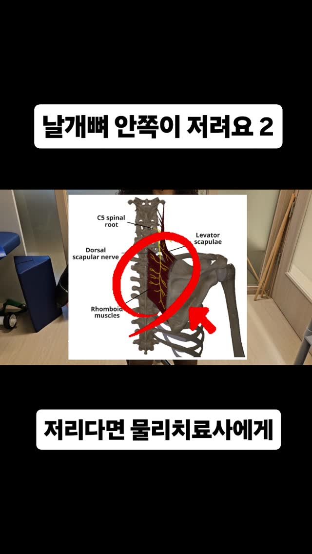 qandapt 게시물 이미지: 저린증상으로 고통받고 있다면 물리치료사에게 치료받으세요
저린 증상(tingling,...