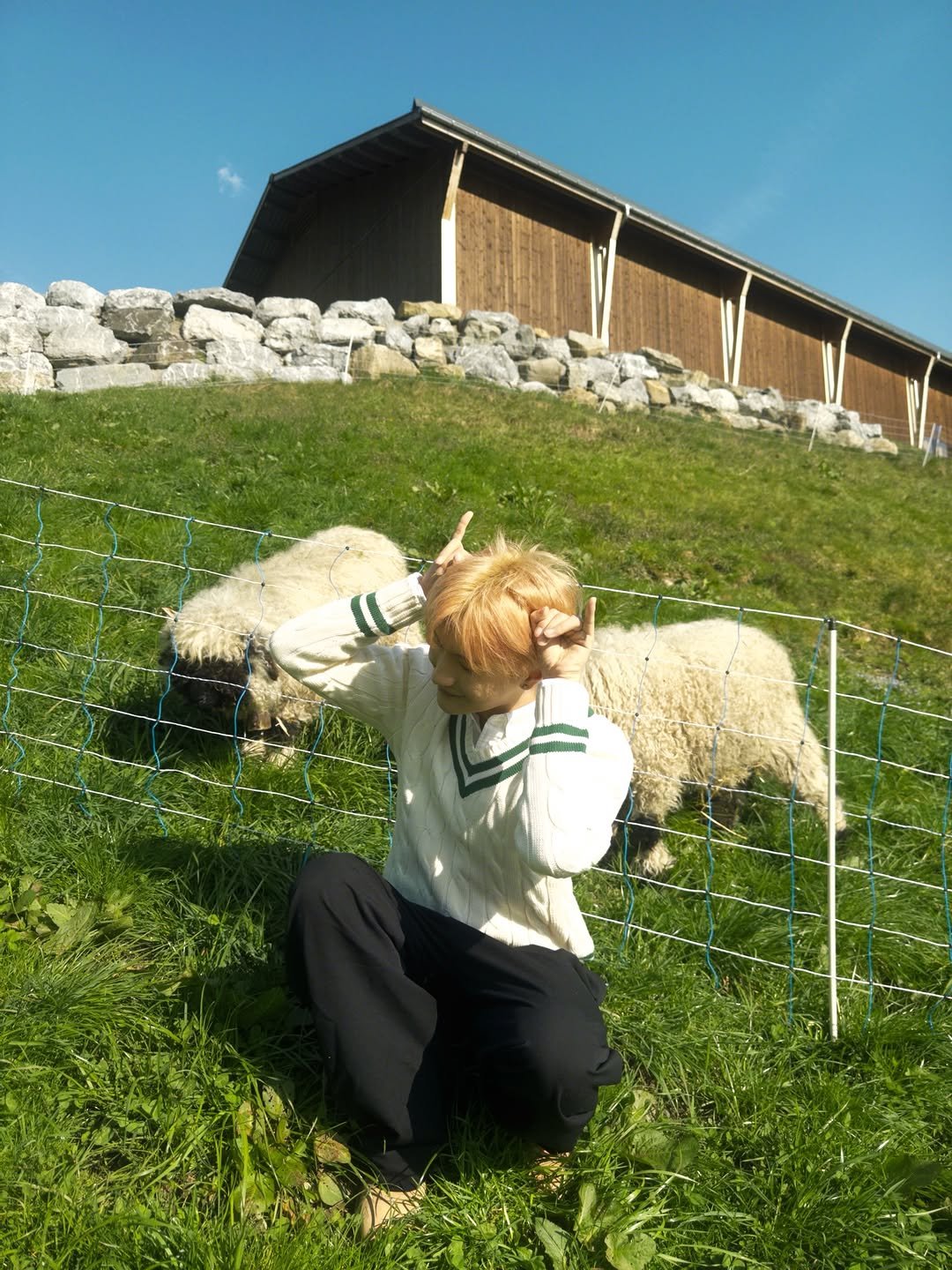 Photo by Chrisen Yang on March 21, 2026. May be an image of goat, lamb, sheep, grass and text.