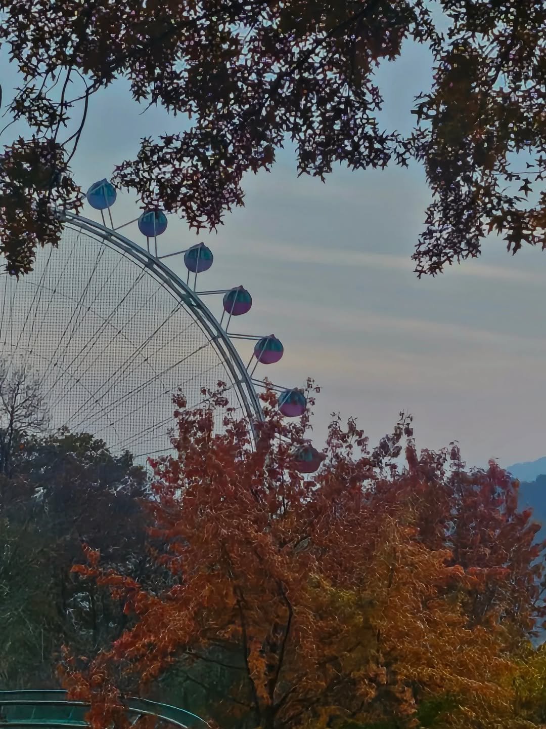 Photo by 서리달 on November 10, 2025. May be an image of text.