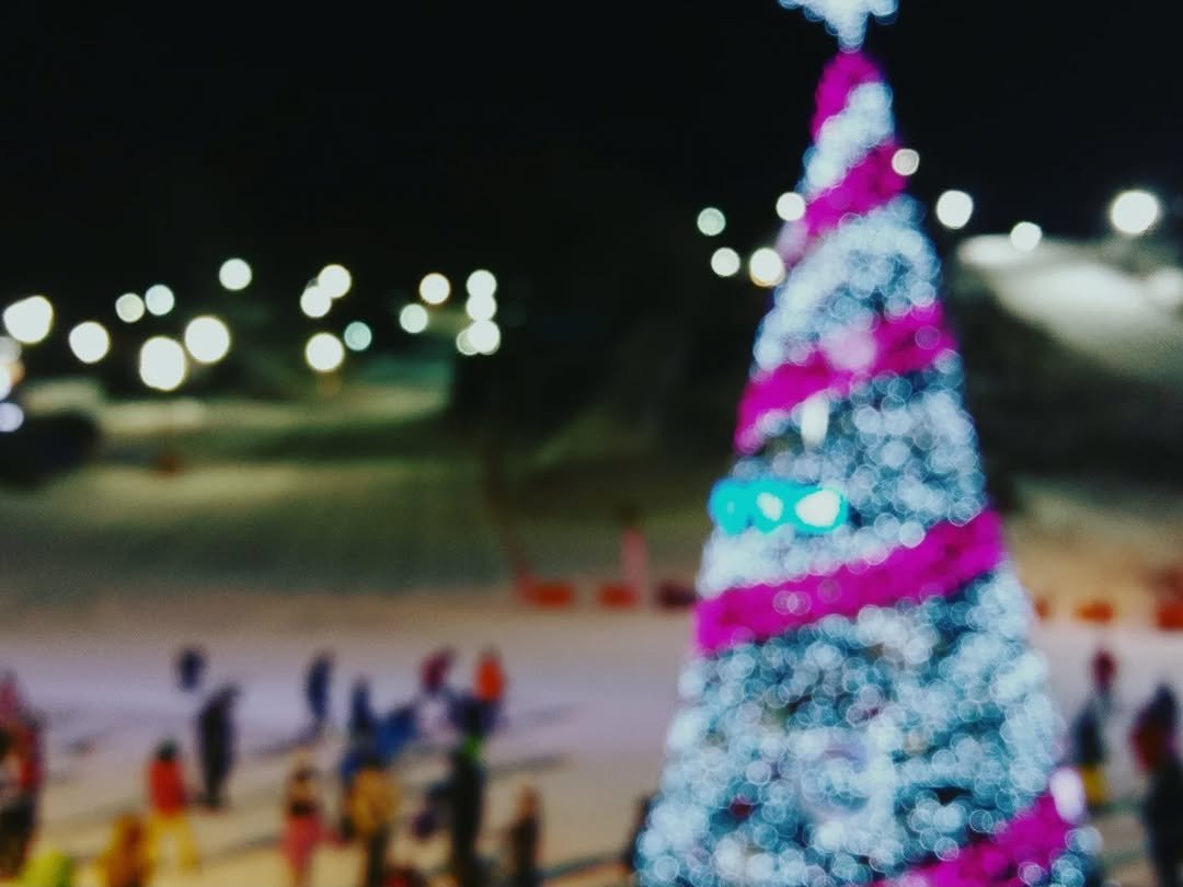 Photo by 서리달 on November 30, 2025. May be an image of christmas tree, ski, ski slope and text.