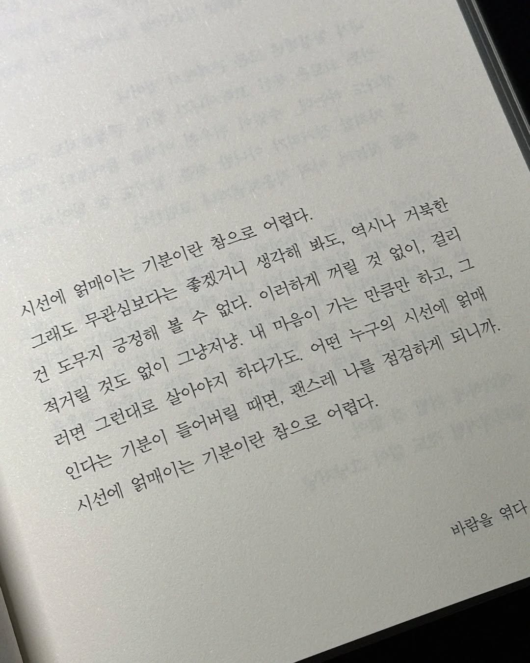 Photo by 서리달 on February 03, 2025.