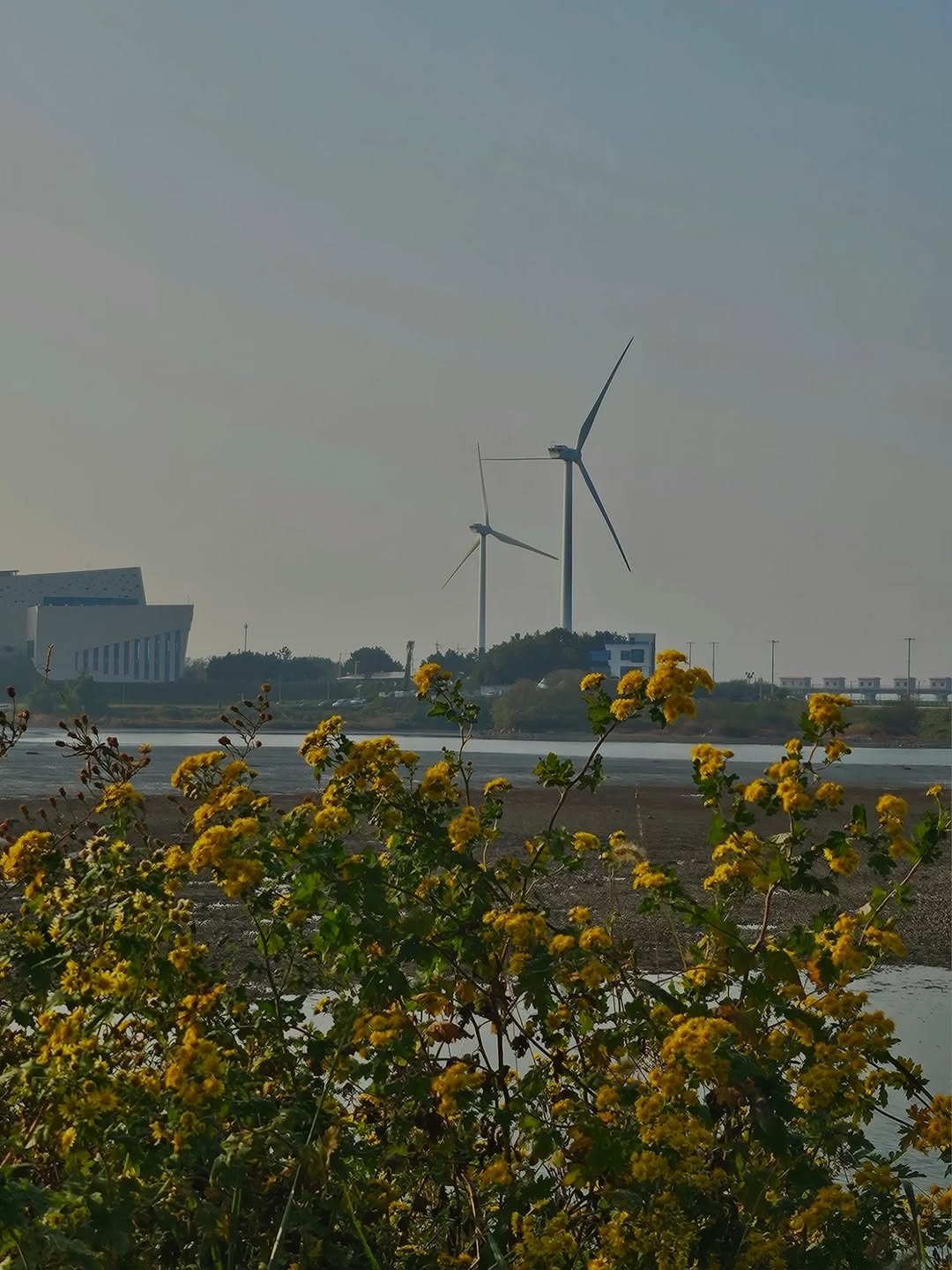 Photo by 서리달 on November 08, 2025. May be an image of silo, windmill, oil refinery and text.