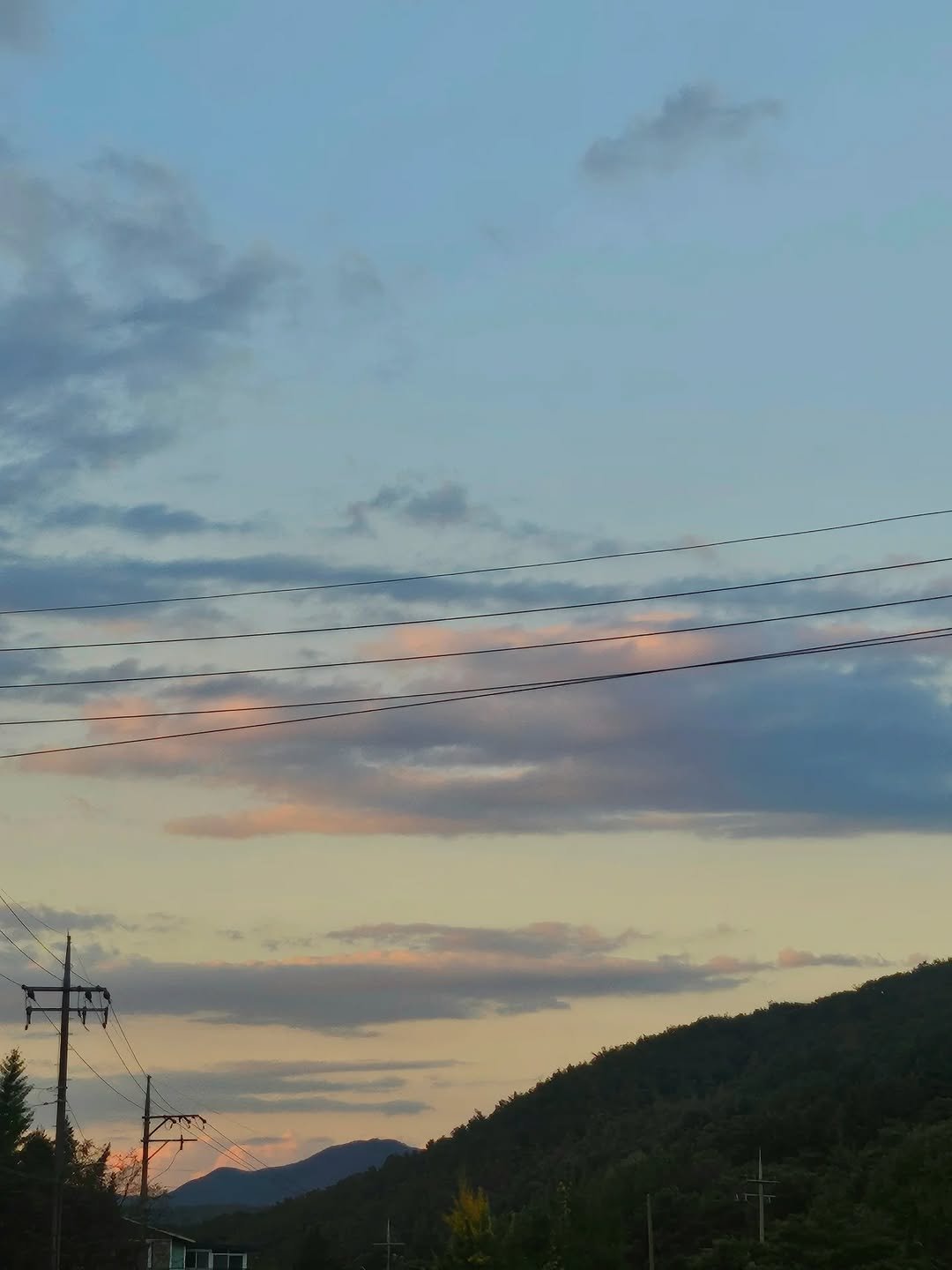 Photo by 서리달 on November 04, 2025. May be an image of bird, twilight, telephone pole and text.