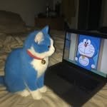 neckwisdom 프로필 사진