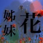 jamaehwapic 프로필 사진