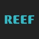 reef 프로필 사진