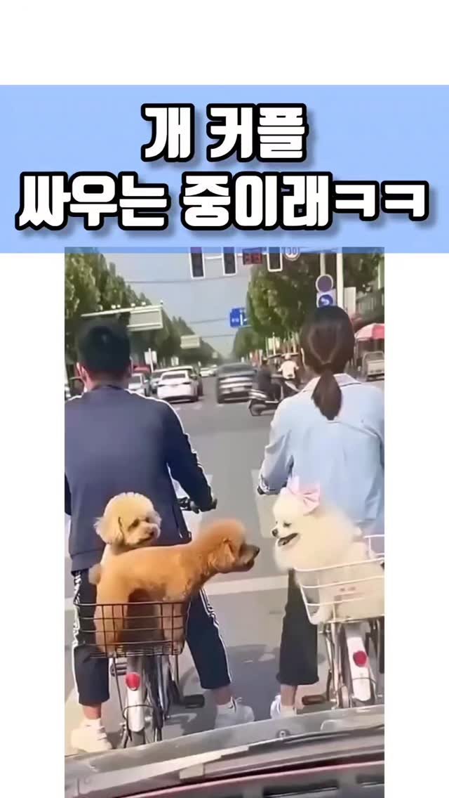 quote_zzal 게시물 이미지: 졸귘ㅋㅋㅋㅋ