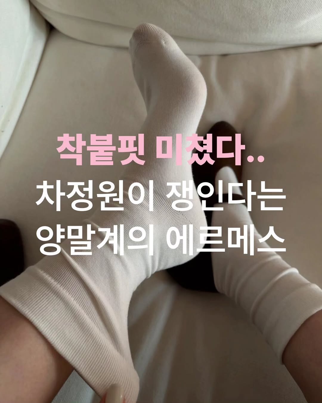 Photo shared by 코픽  코끼리가 픽하는 즐거운 쇼핑 on March 29, 2026 tagging @quote_zzal, @kkang_humor, @ho9_funny, @theone_haeyo_, and @haappy__smile. May be an image of sock and text that says '착불핏 착불핏미쳤다.. 미쳤다.. 차정원이 쟁인다는 양말계의 에 에르메스'.