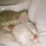 chaey17 프로필 사진