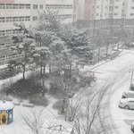 rastrala 프로필 사진