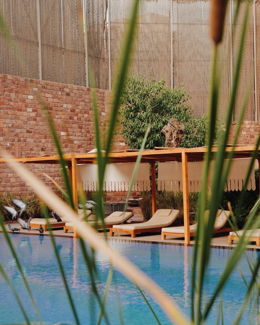 Photo by RAAS Hotels on March 12, 2026. May be an image of deck chair, pool, cabana, outdoors and text.