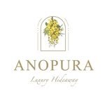 anopura.jaipur 프로필 사진