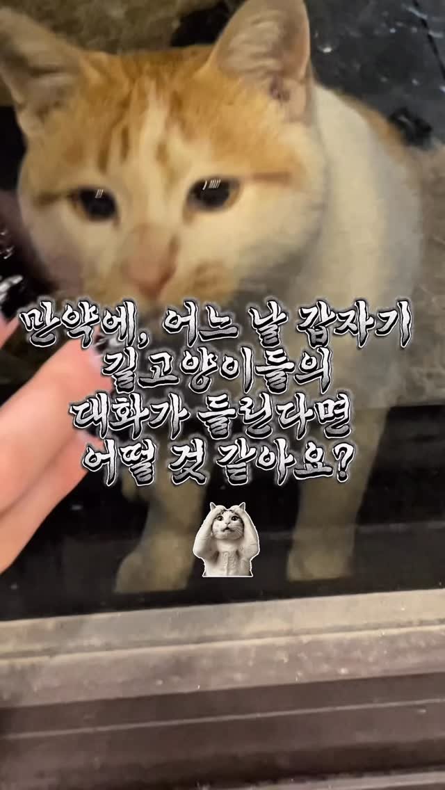 rabbithole_book 게시물 이미지: 어느 날 갑자기 고양이의 목소리가 들리기 시작했다?! 🐱💬

_
죽어가는 새끼...