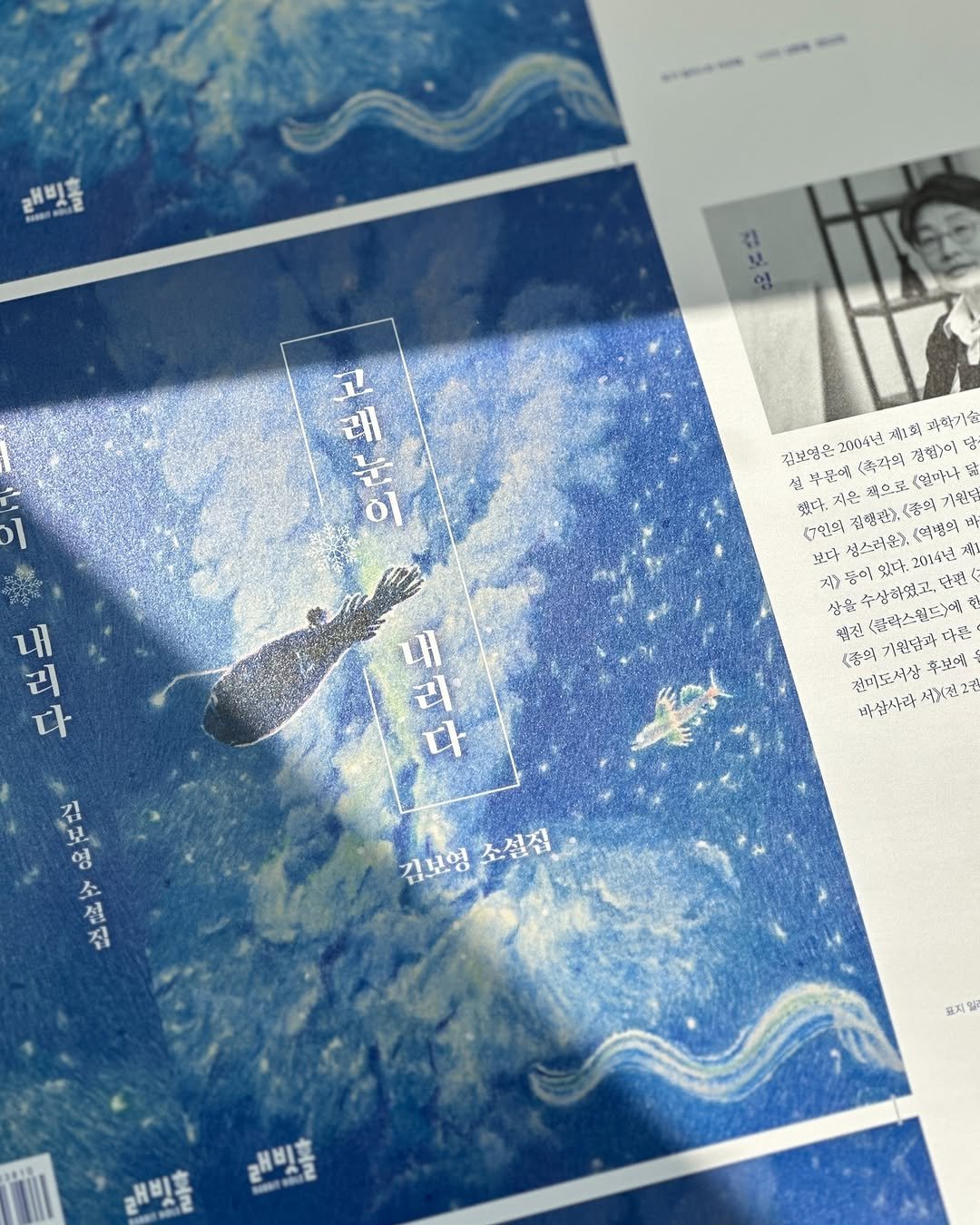 Photo by 인플루엔셜 문학 브랜드 래빗홀 on May 06, 2025. May be an illustration of book, magazine, poster and text that says '래빈를 김보영 a ก 제 순 래 이 내 리 다 김보영은2004년 (추각의 김보영은 2004년 제1회 과화기 겹협)이 설 부점에 飛 책으로 했다. 진행끝>, (종의 얼마나 יחדביל 가월답 역개의 보다 0인회 상스러몬 2014년 계! 자) ح 수상하있고, 있다, 상을 일주랑하있고, 好間 밀깃 <블라스오드)예 다콤 <중의 (총의기한함과다 거원달과 절피도서상 바삼사라적X진2 서X젤2개 .보에 박삼사라 내 리 다 김 포 영 소 집 김보영소설집 김보영 소설집 포지일 올래빛홀 書'.