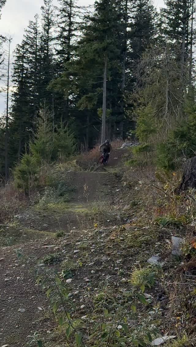 raceface 게시물 이미지: Swinging off it! 🐎

Nothing like watching...