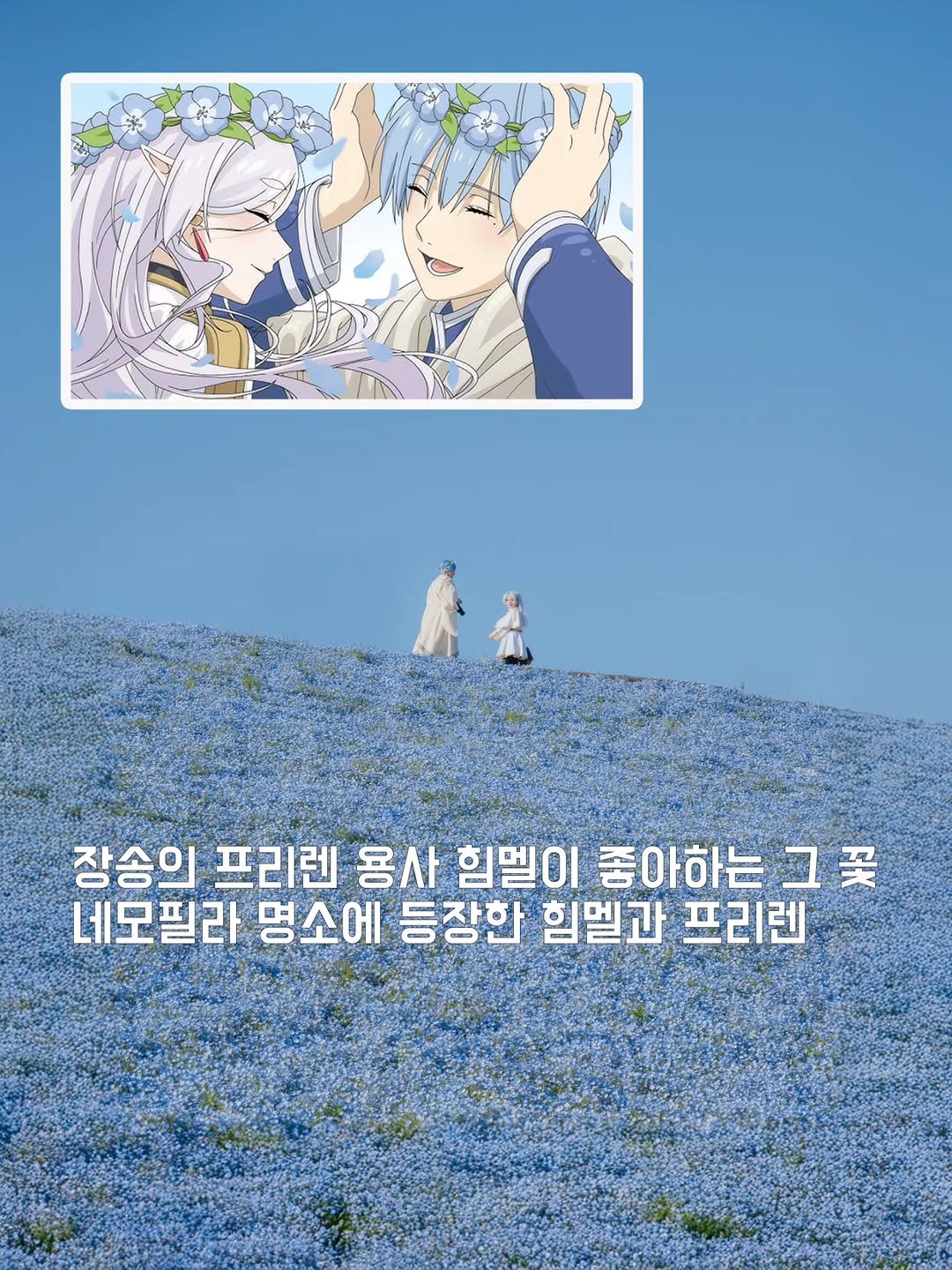 Photo by 래구월드 - 정래구 on April 22, 2026. May be a doodle of poster, scorpion grass, baby's-breath, baby blue eyes flower and text that says '잠송의 프리렌 용사 힘멜이 좋아하는그 7 꽃 네모필라 명소에 등장한 힘멜과 프리렌'.
