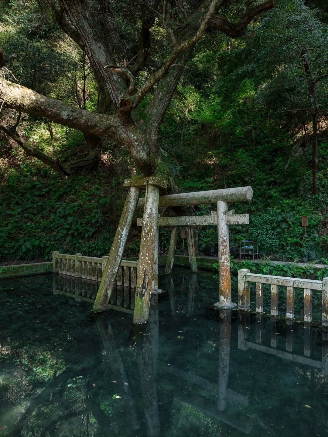 Photo by 래구월드 - 정래구 on April 24, 2026. May be an image of park, water and text.