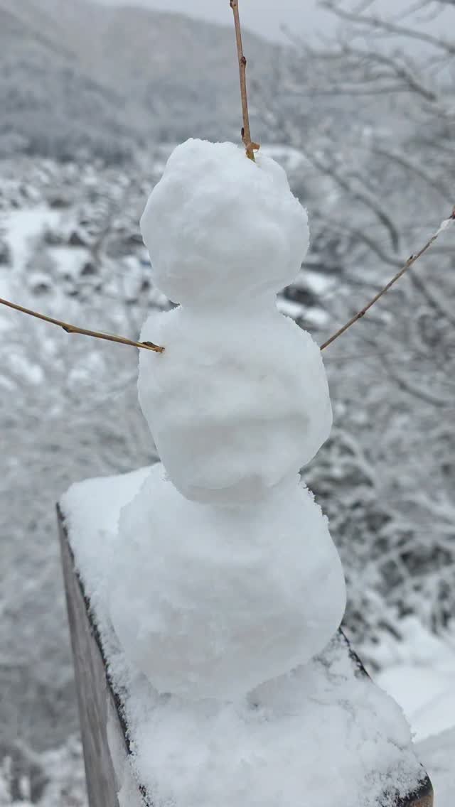 raegu9 게시물 이미지: 실시간 일본여행 설경이 너무 예뻐...🥺

📍 시라카와고 무료 전망대

지금 일본은...