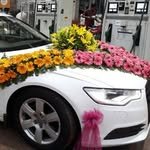moonlight_luxurycars 프로필 사진