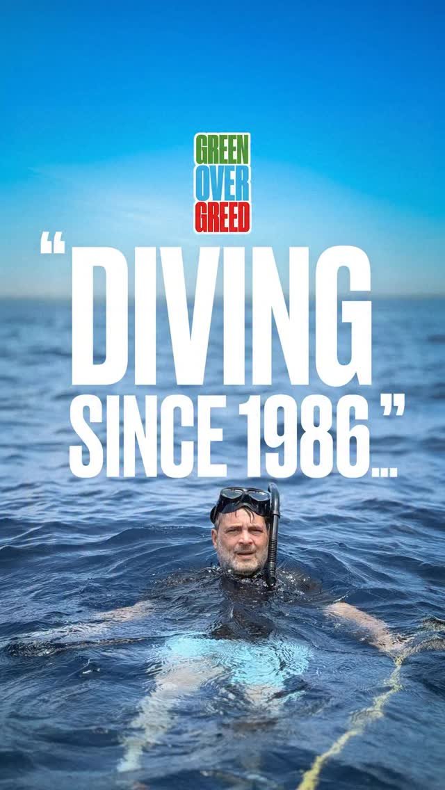 rahulgandhi 게시물 이미지: “Diving is a meditation to me” - A candid...
