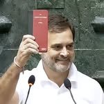 rahulgandhi 인스타그램 프로필 사진