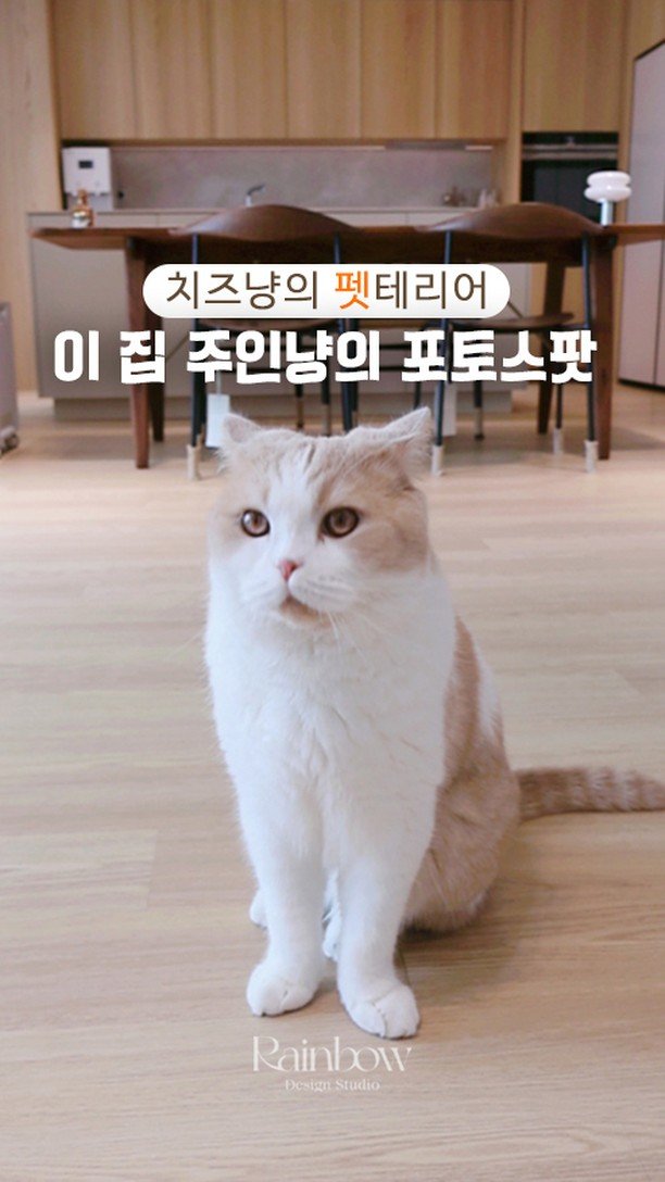 rainbow.design_interior 게시물 이미지: .
화이트와 우드의 따뜻한 조화,
그 안에서 가장 빛나는 건 바로 집주인...