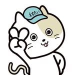 supertaikyu_official 프로필 사진