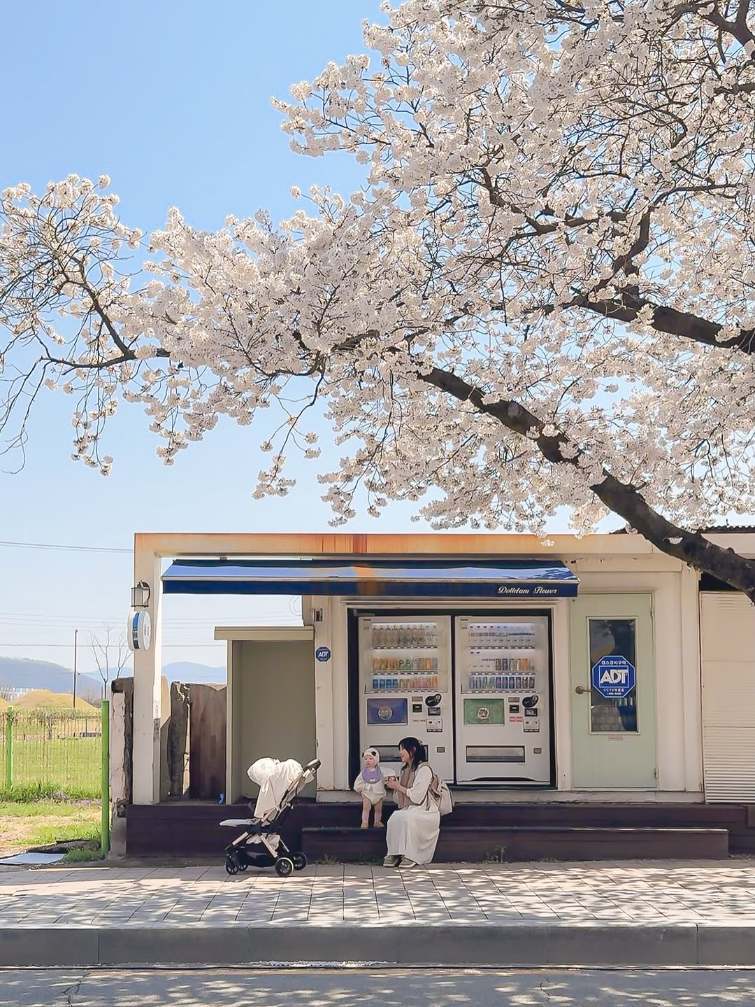 ramiii_eo 게시물 이미지: 경주 대릉원 돌담길에 ‘이 스팟’을 아시나요?🌸
(대릉원은 이제 벚꽃비 내리기...