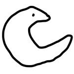 coordiholic 프로필 사진