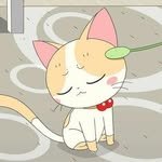 k__ny0_0 프로필 사진