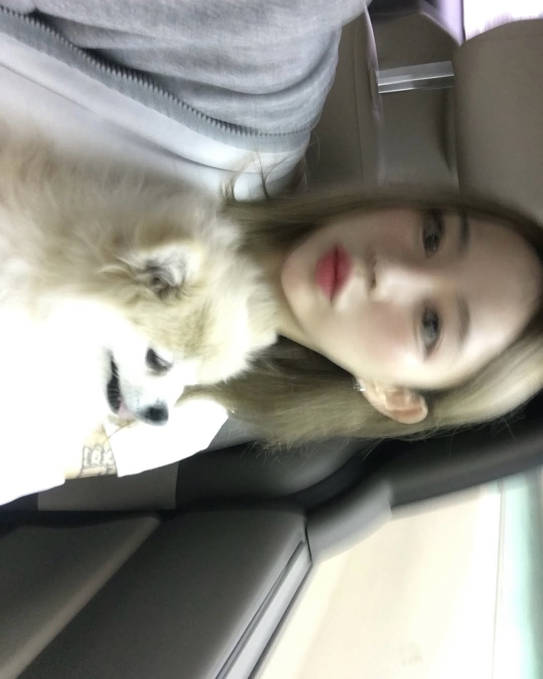 Photo by 안아란 on March 18, 2026. May be an image of Pekinese and text.