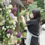 ilivehome 프로필 사진