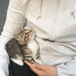 mozzi0425 프로필 사진