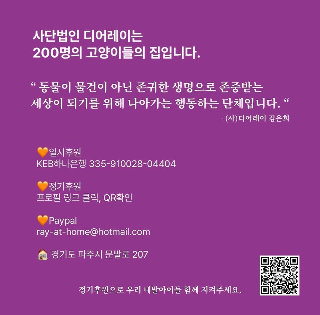 Photo by RAY in Seoul, South Korea. May be an image of poster, pie and text that says '사단법인 디어레이는 200명의 고양이들의 집입니다. "동물이 물건이 아닌 존귀한 생명으로 존중받는 세상이 되기를 위해 나아가는 행동하는 단체입니다." 니다. -(사)디어레이 김은희 일시후원 KEB하나은행 335-910028-04404 정기후원 프로필 링크 클릭, QR확인 Paypal ray-at-home@hotmail.com 경기도 파주시 문발로 207 정기후원으로 우리 네발아이들 함께 지켜주세요.'.
