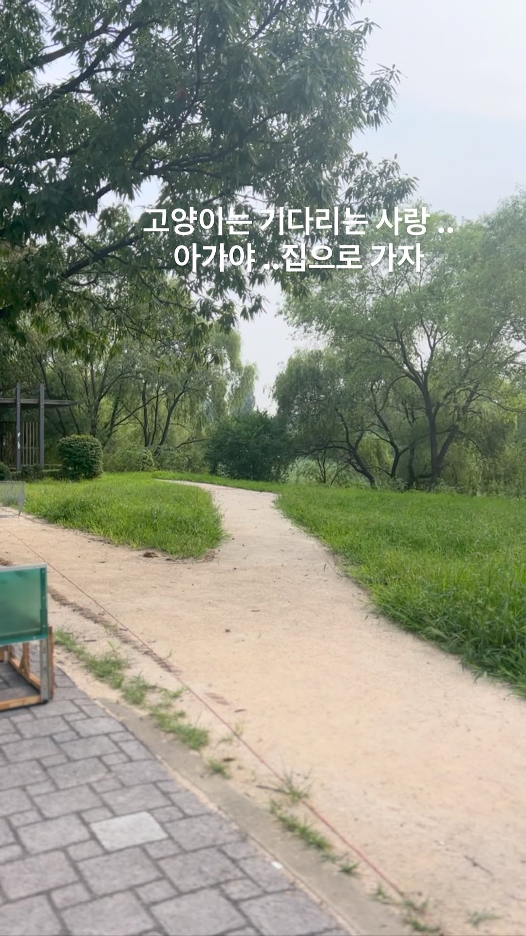 ray_at_home 게시물 이미지: #고양이

마음이 쓰여

계속 생각이 나는 녀석

늙은 대장고양이의 ..
마지막...