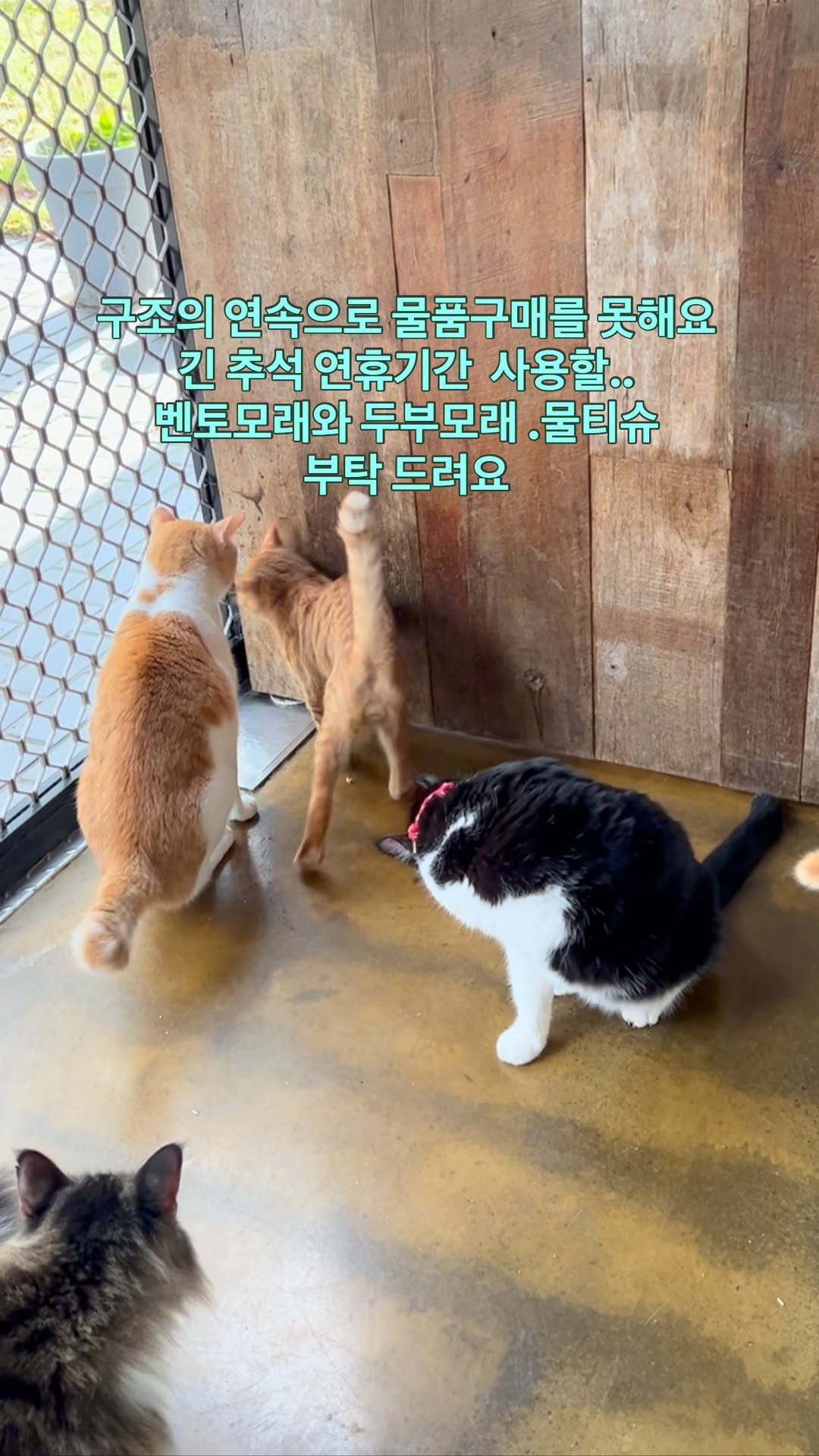 ray_at_home 게시물 이미지: #선물주세요

위기에서오는 식구 들이 늘면서
물품구매가 힘들어요

200여명의...