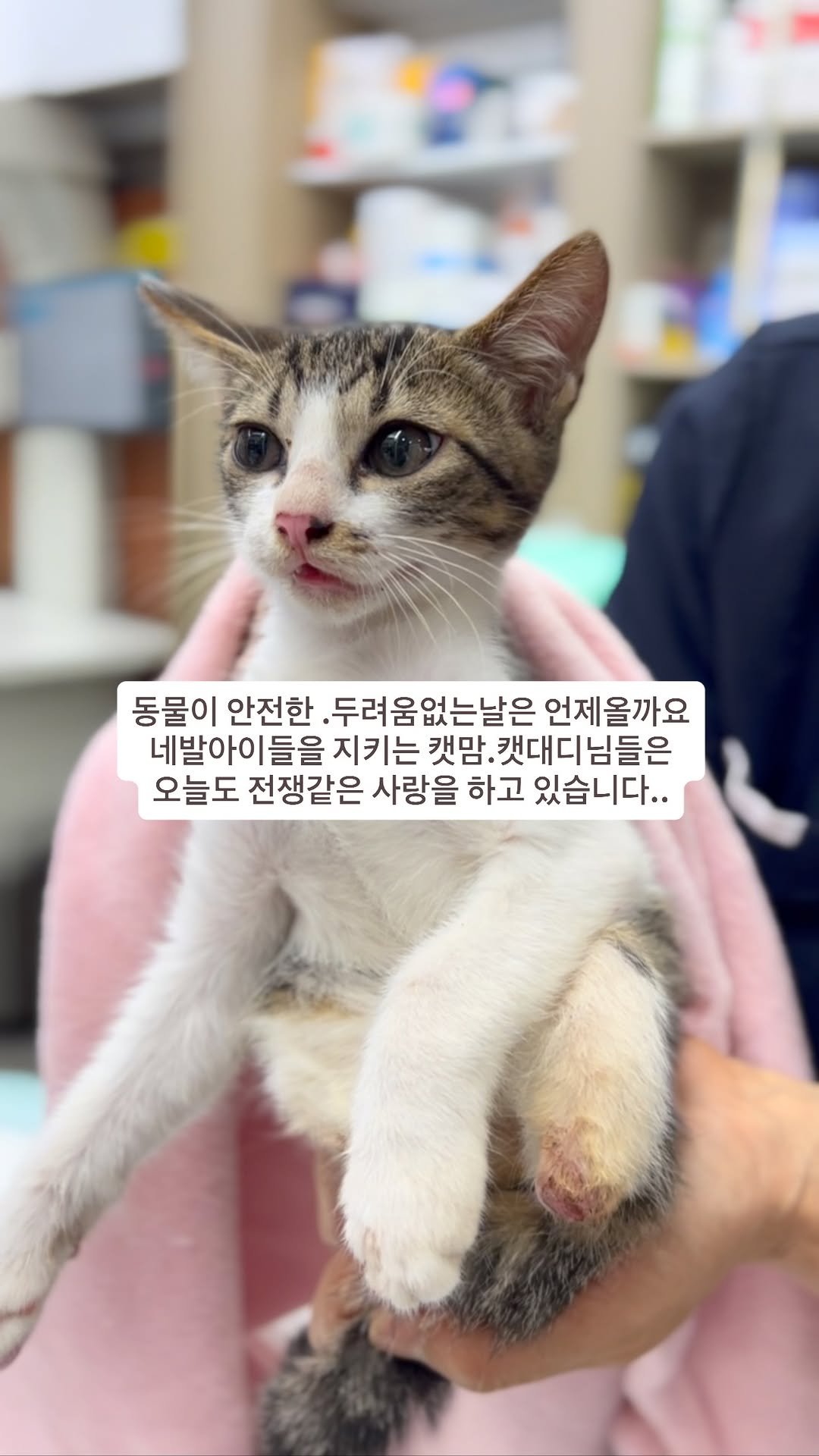 ray_at_home 게시물 이미지: #동물학대강력처벌 

두다리가 절단된채 구조한 
용순이가 살던 아파트 단지

착한...