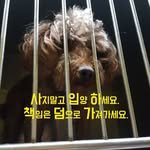 helpshelter 프로필 사진