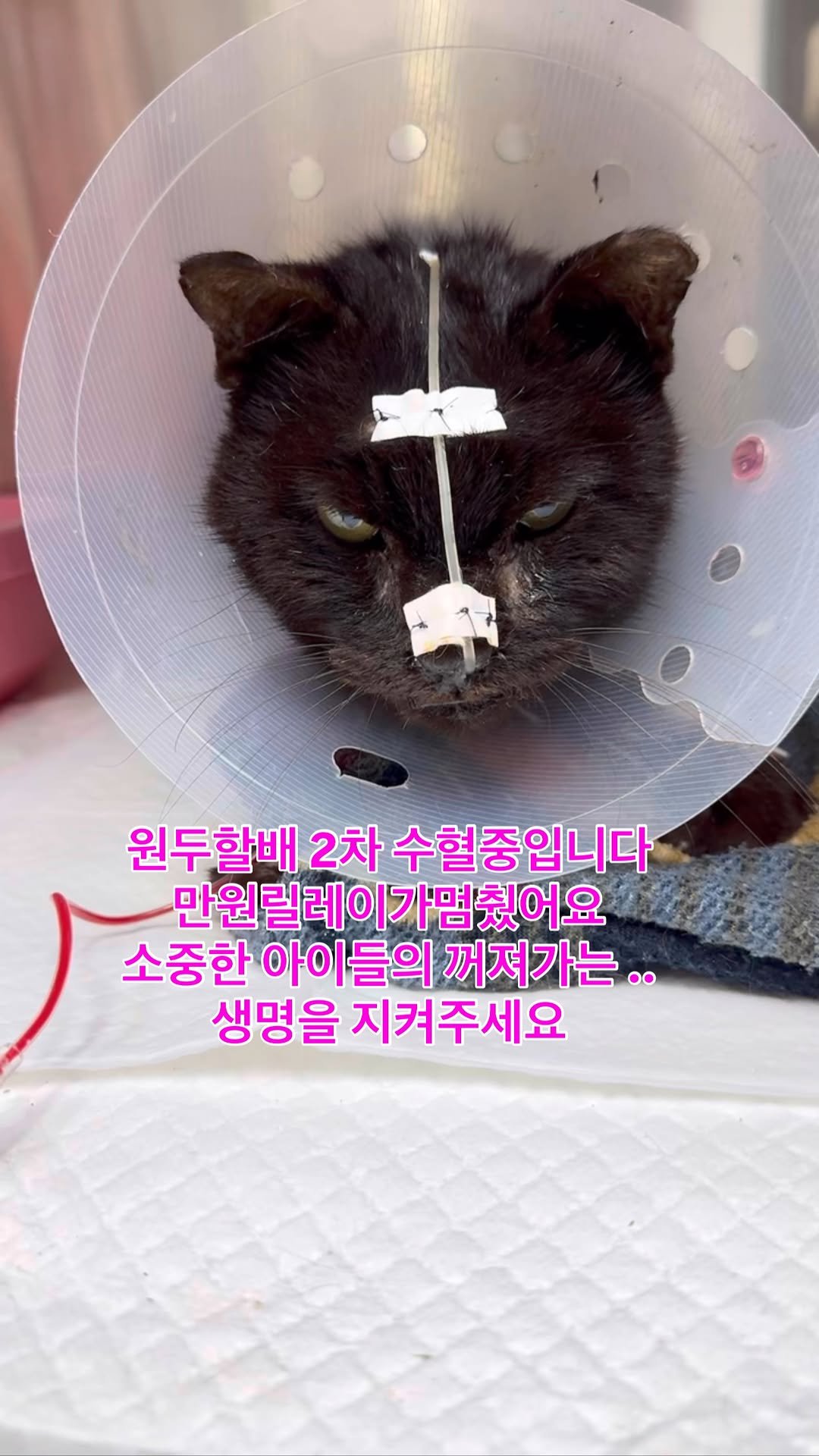 ray_at_home 게시물 이미지: #살고싶어요 

수원 원두할배

수원의 재개발지역
이사 가면서 버리고 간...