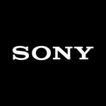 sony 프로필 사진