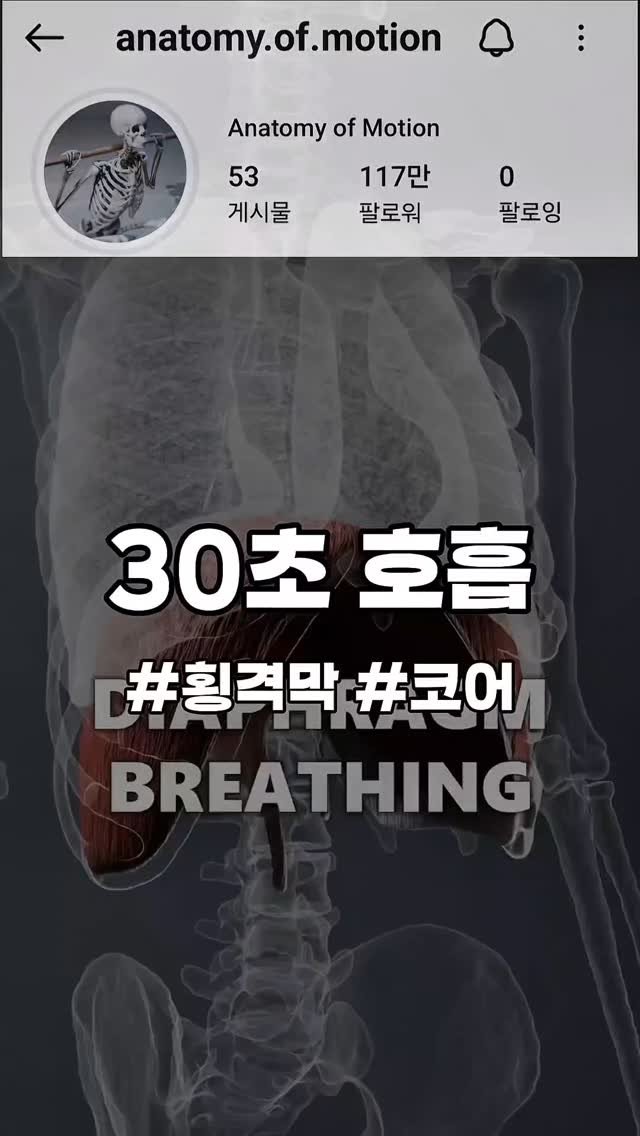 re._.building 게시물 이미지: 호흡, 횡격막이 중요해

위 영상은 원본 내용을 의역한 것입니다.

영상이 마음에...