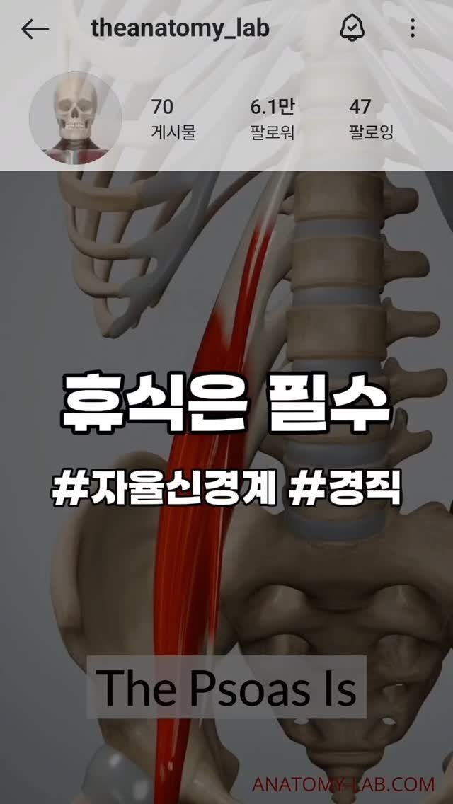 re._.building 게시물 이미지: 운동도 식단도 중요하지만 잘 쉬는 것도 중요해요.

위 영상은 원본 내용을 의역한...