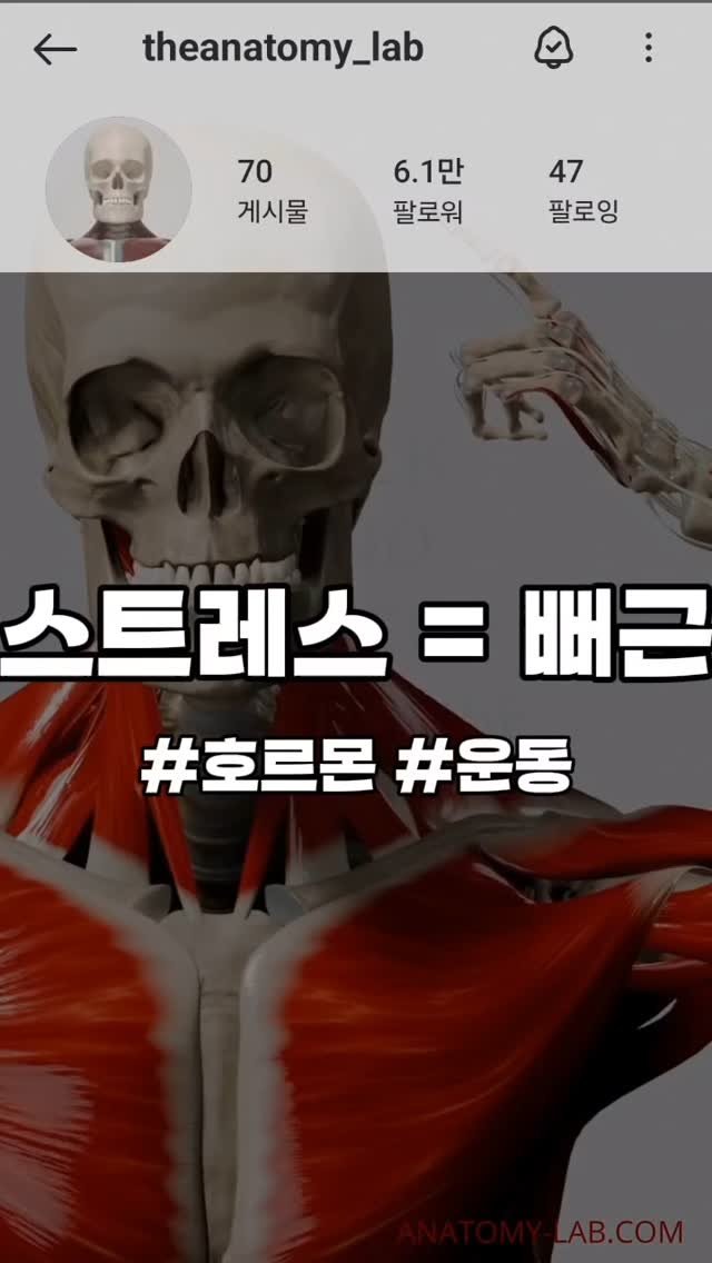 re._.building 게시물 이미지: 회사 -> 스트레스 -> 뻐근함

위 영상은 원본 내용을 의역한 것입니다.

영상이...