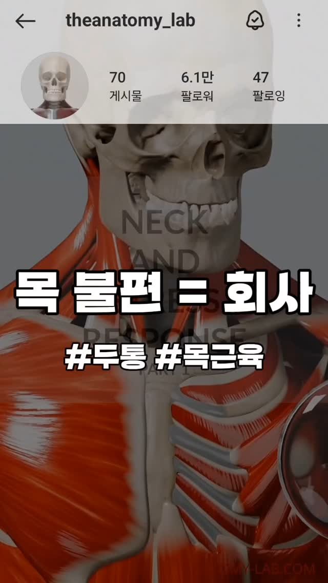 re._.building 게시물 이미지: 무한루프: 업무 - 스트레스 - 뻐근함

위 영상은 원본 내용을 의역한...