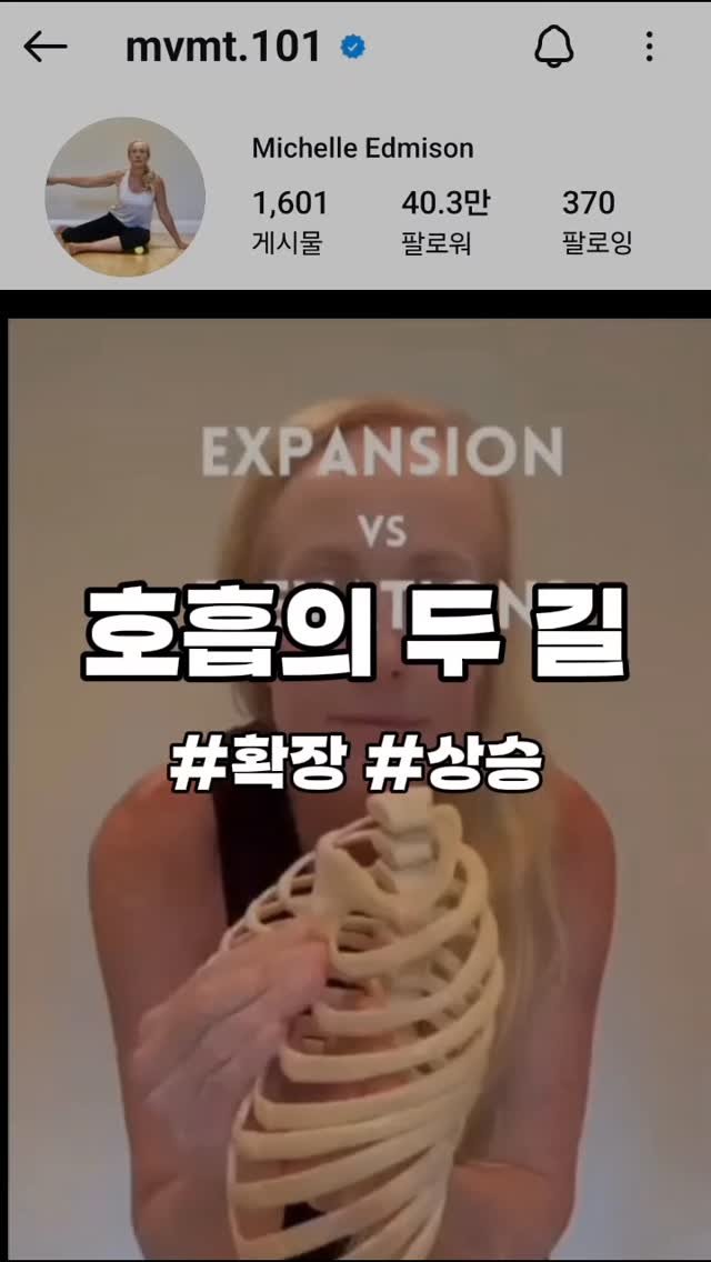 re._.building 게시물 이미지: 호흡 패턴의 차이: 흉곽의 확장과 상승

위 영상은 원본 내용을 의역한...