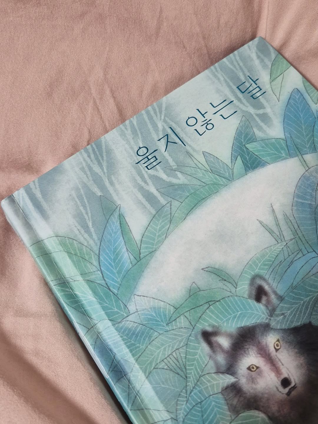 Photo by 현설맘 | 그림책과 함께 성장하는 엄마 on February 22, 2026. May be an illustration of ‎wolf, diary, book and ‎text that says '‎חת 울지 옮지않는 지 않는 않 מו ㄴ OH‎'‎‎.