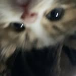 sanman._.jabji 프로필 사진