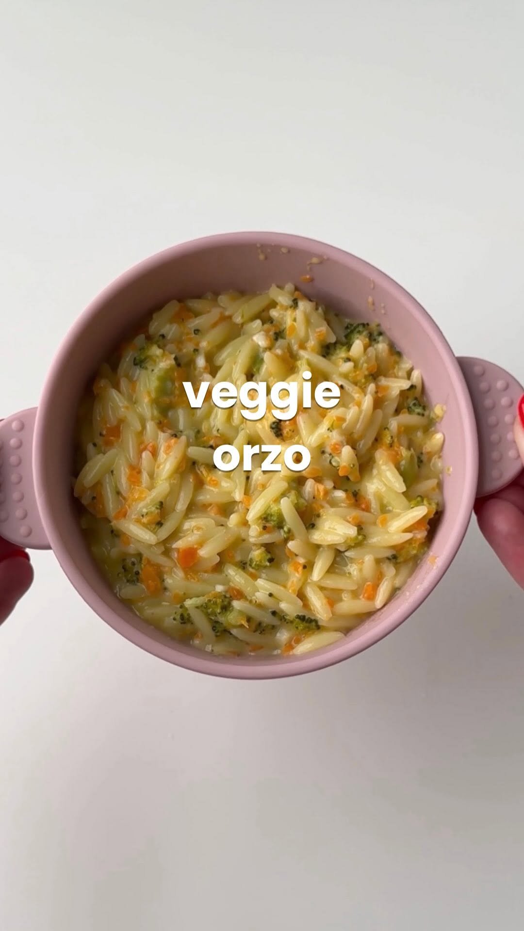 reallittlemeals 게시물 이미지: VEGGIE ORZO!!

This is the most popular recipe...