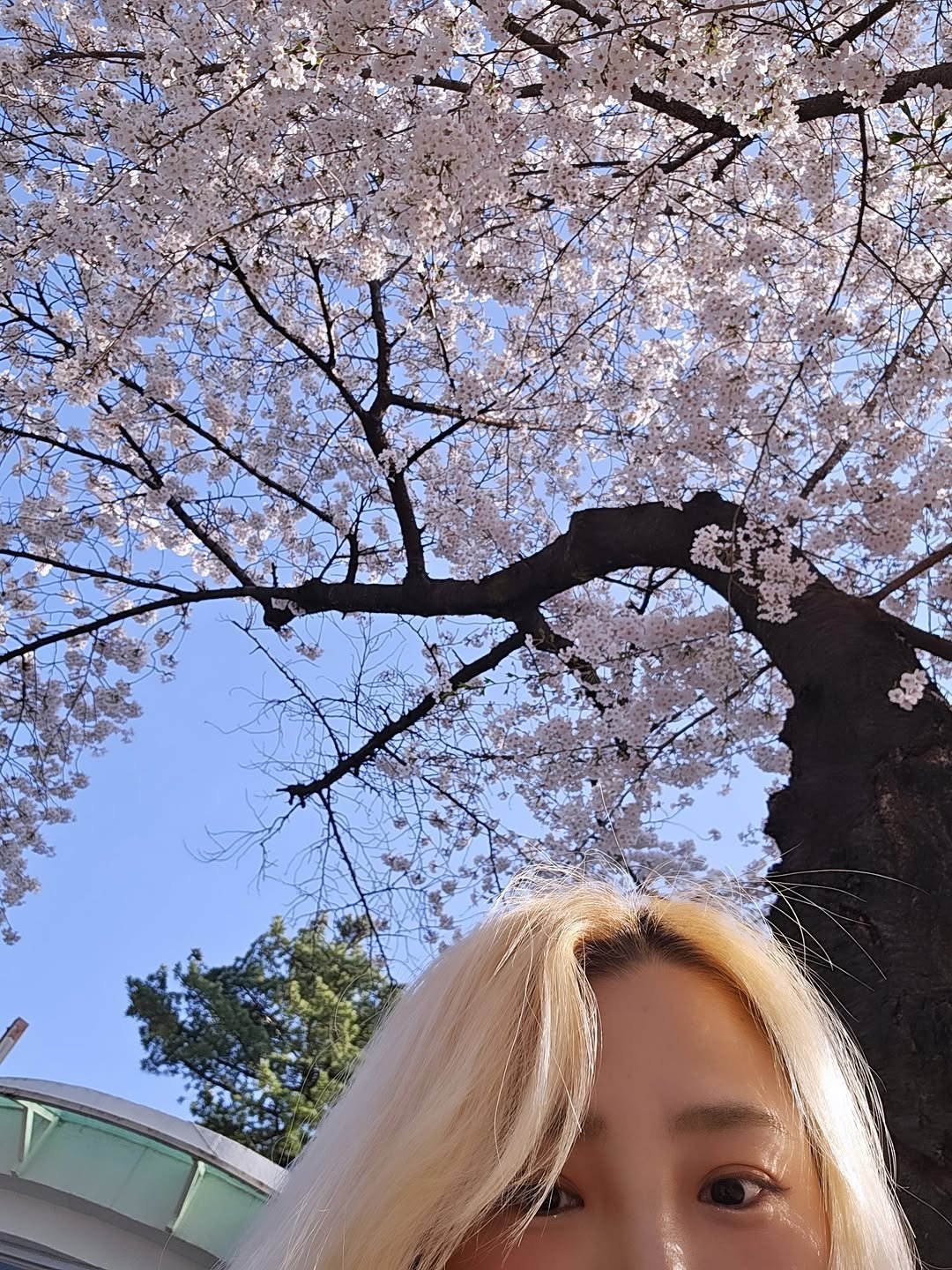 reckless___j 게시물 이미지: ..🌞....💕..🌸✨️✌️